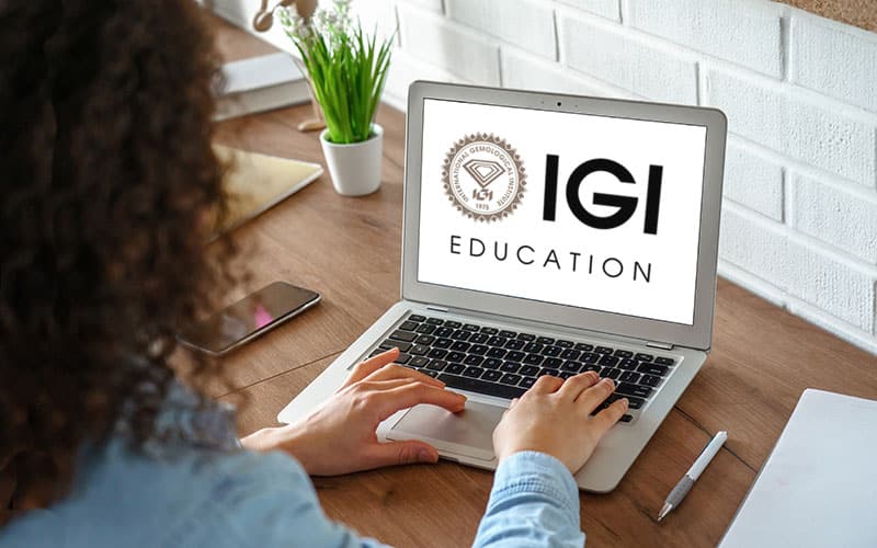 IGI announces it is offering customized educational seminars online