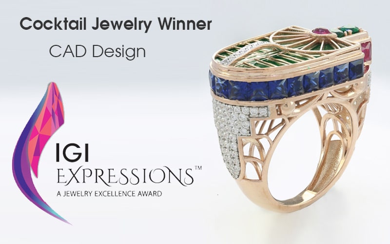 IGI Expressions Winner Dushyant Dave