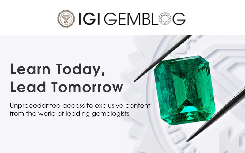 IGI Gemblog Logo