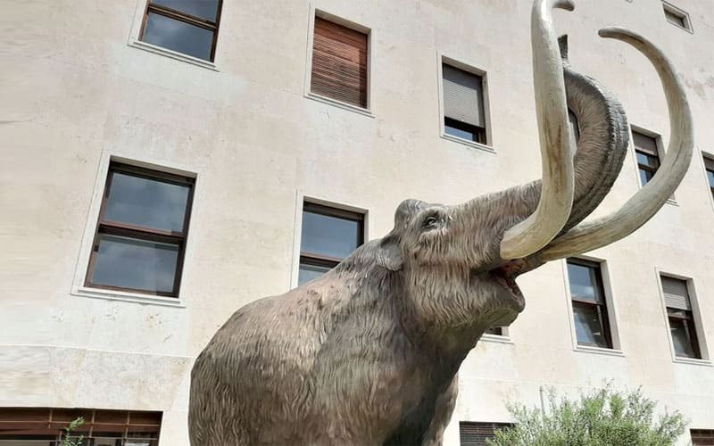 Sapienza University