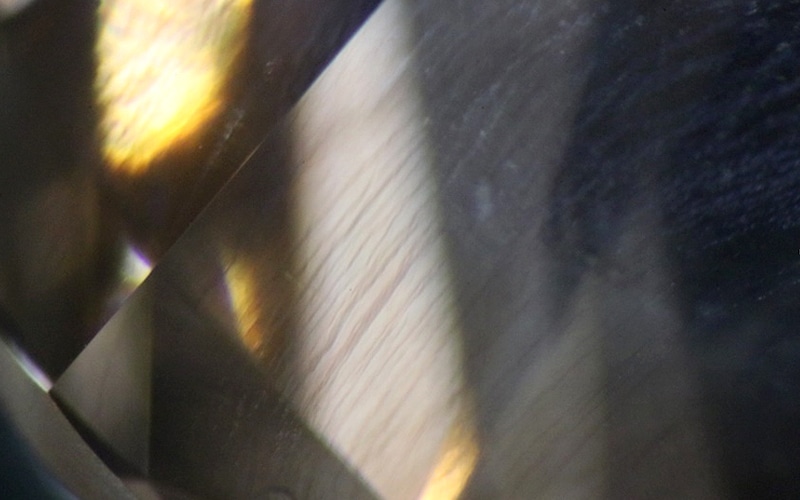 IGI Inclusion Photograph