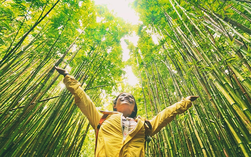 Girl in Forest