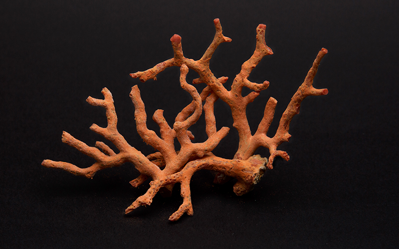 Coral